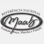 Design sem nome (28)